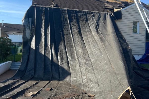 WhatsApp Image 2025-06-04 at 16.26.01